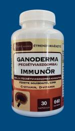 Ganoderma (pecsétviasz gomba) ImmunŐr 30x