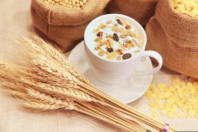 β glükán – természetes immunerősítő, amit alig ismerünk